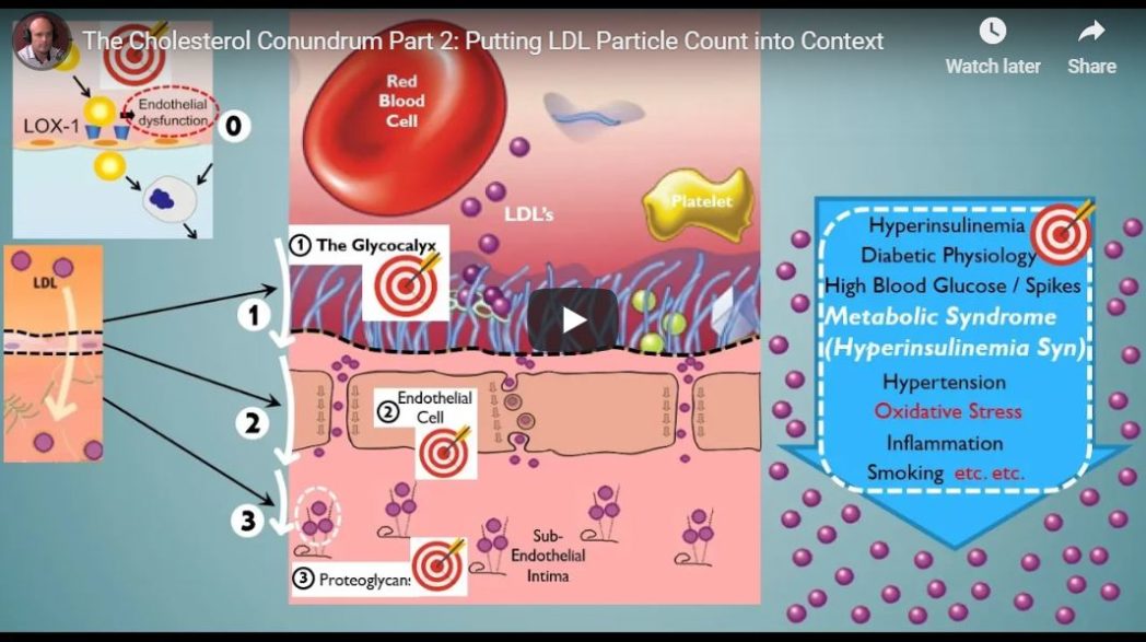 LDLp LDL-P ApoB LDL Particle Count Explained