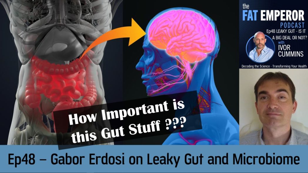 Ep48 Leaky Gut and Microbiome - Are These a Big Deal in Health and Longevity