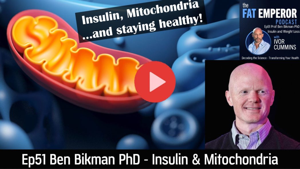 Ep51 Ben Bikman PhD - Insulin Mitochondria White and Brown Fat and How to Stay Healthy.